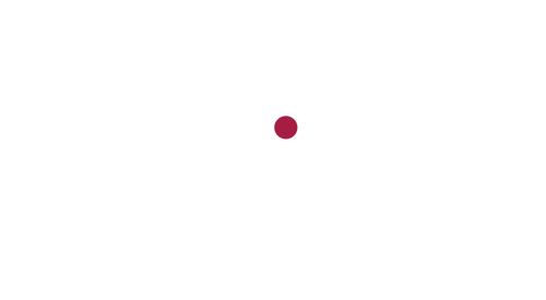 Zoom TV HD